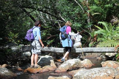 Garden Route to host first SA walk fest