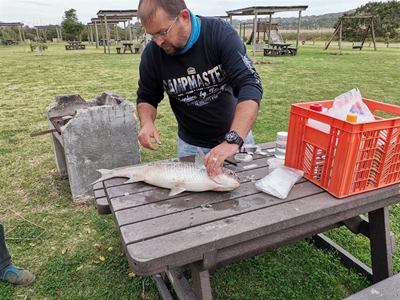 No more fish deaths in Touw River
