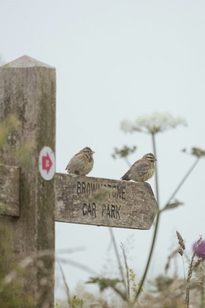 Weather: Morning fog along the coast but cloudy and cool inland