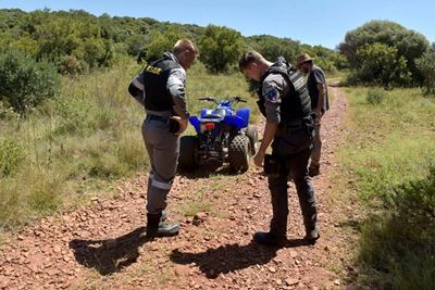 Escapee lion disappears off face of the earth
