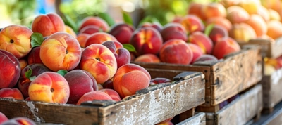 Juicy & delicious – Welcome to SA’s stone fruit season
