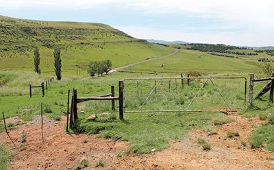 Deadline: Expropriation without Compensation