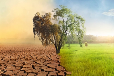 Understanding drought