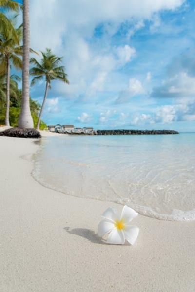 Is Travel the Best Medicine?