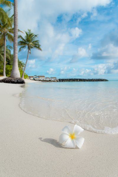 Is Travel the Best Medicine?