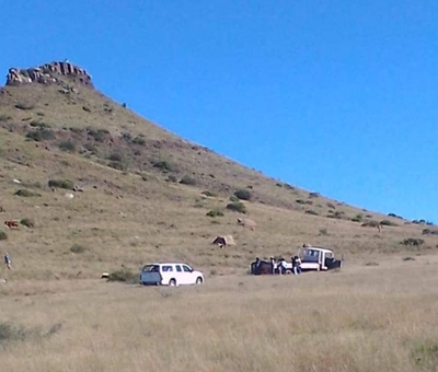 Hofmeyr clean up day