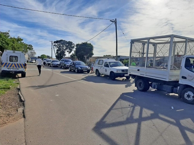 Crime curbed in New Horizons