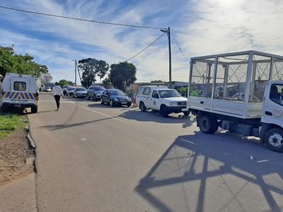 Crime curbed in New Horizons