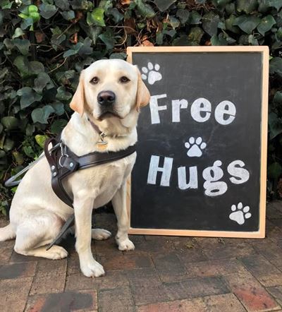Free hugs at Knysna Oyster Festival