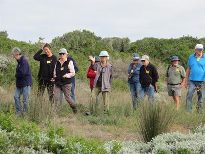 Dendrologie Vereniging besoek Stilbaai