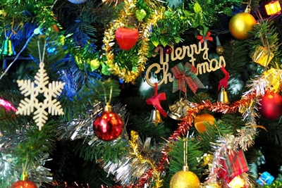 Christmas in July brings family fun