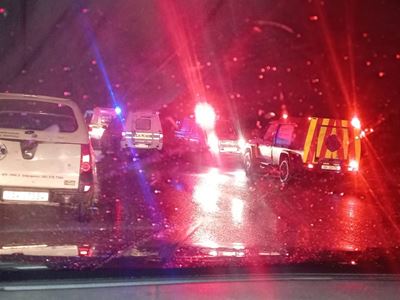 Accidents due to free-roaming cattle