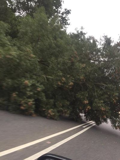 High winds and rain predicted for Knysna, Bitou 