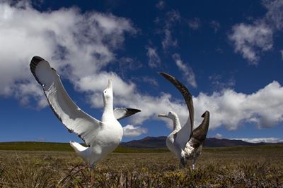 Plettenberg Bay’s brush with royalty