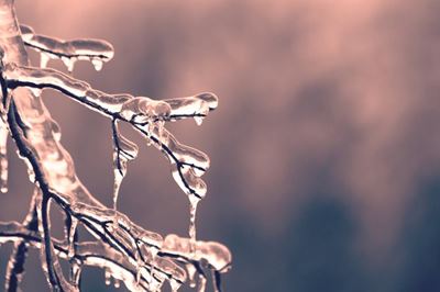 First cold spell with light snowfall to hit SA on Friday