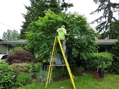 Home improvements you should make this summer