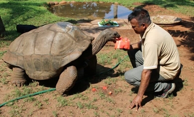 Durban’s oldest tortoise celebrates 120th birthday