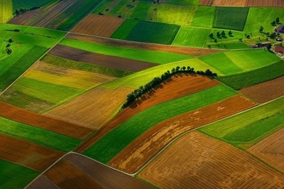 ‘Drastic swing’ in latest hearings against expropriation without compensation