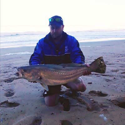 Stilbaai palm eerste winterligahengel in