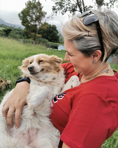 Animal care available during lockdown