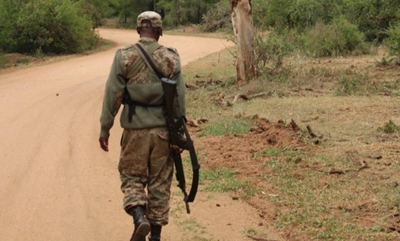 Four poachers arrested and one fatally wounded as Kruger enters June