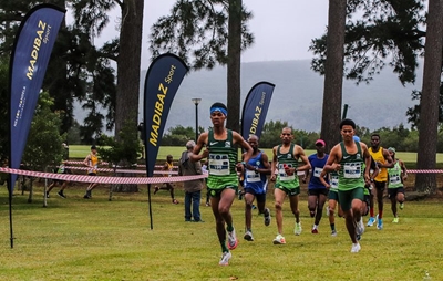 Forest Run in George a fair challenge with a scenic twist
