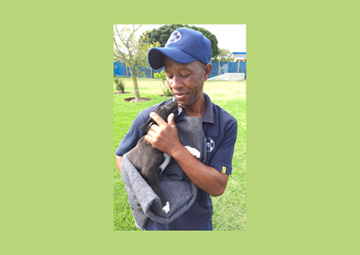 Mossel Bay SPCA desperately needs puppy, kitten food