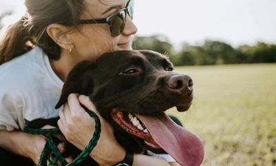 Help families and furbabies stay together this festive season