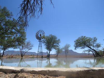 Dam level rises, wild stay away