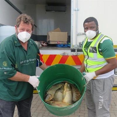 Alien fish at Groenvlei feeding community