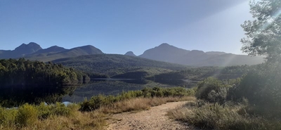 Garden Route Dam level at 92,44%