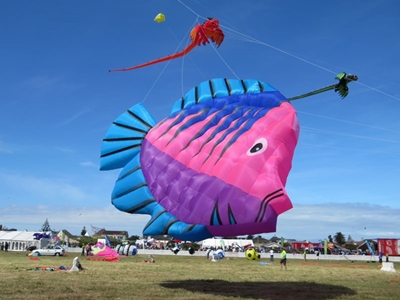 Don't miss the kite festival!