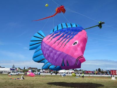 Don't miss the kite festival!