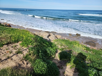 NSRI issues statement on drowning at Dana Bay