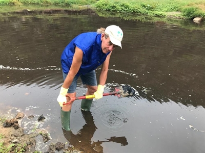 Province investigates sludge