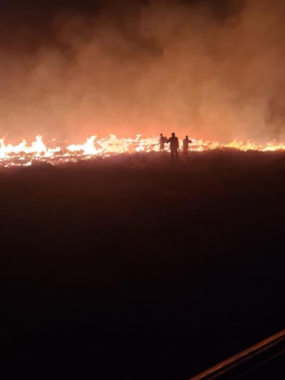 Brand verwoes weiveld in Hofmeyr
