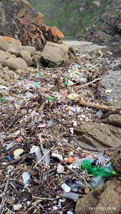 Litter defaces Ballot's Bay