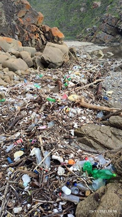 Litter defaces Ballot's Bay