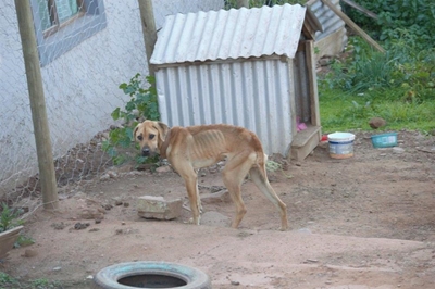 Jessie nou op beter plek