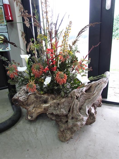 Botanical garden to host first Garden Roots Expo