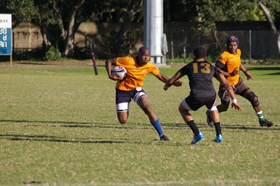Knysna falls prey to Black Lions