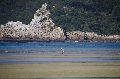 'Unspecific' readings mar better estuary figures