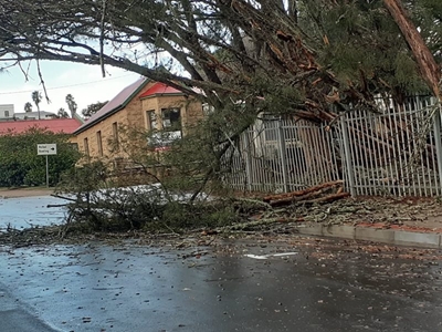 Tien dakke, vyf bome bly in slag