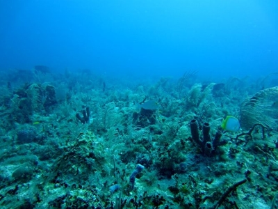 SA takes proactive approach to marine pollution