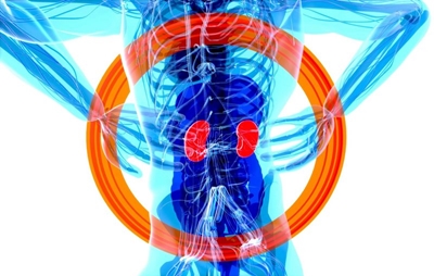 If you look after your kidneys, you also look after your body
