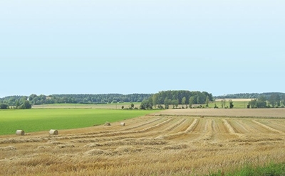 Expropriation bill ‘will limit property rights’ in SA