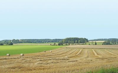 Expropriation bill ‘will limit property rights’ in SA
