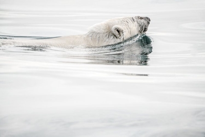 Arctic sea ice melting faster than forecast