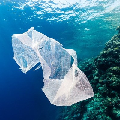 Ocean plastic could treble in decade