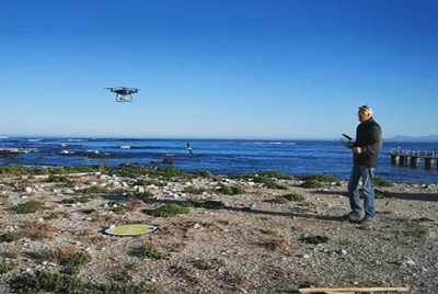 CapeNature uses drones to count birds